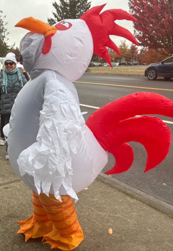 Blow up rooster 